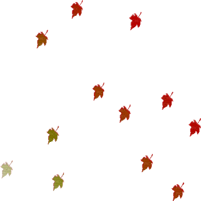 leaves blatt fall autumn feuille leaf - GIF เคลื่อนไหวฟรี