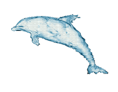 Дельфин - GIF animado grátis