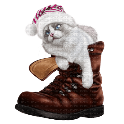 Kaz_Creations Cat Kitten In Boot Colours - zadarmo png