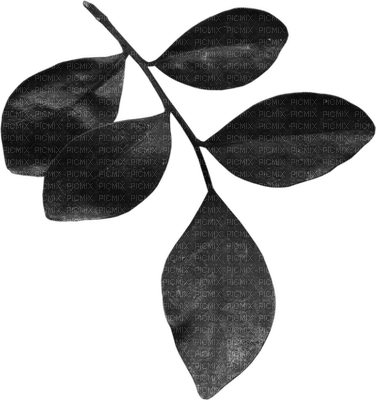 blue-leaf-blad-deco-minou52 - PNG gratuit