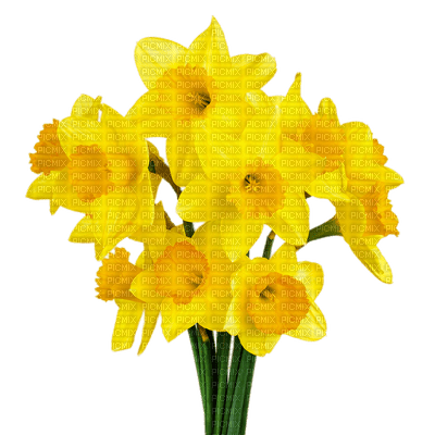 Flowers yellow bp - png ฟรี