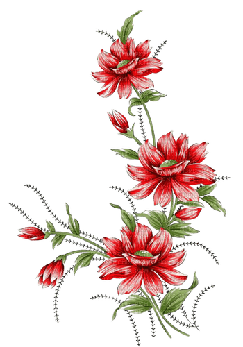 red flowers deco - ilmainen png
