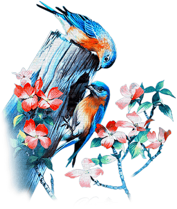 soave deco spring bird branch flowers blue orange - bezmaksas png