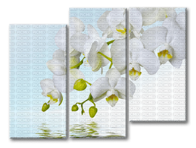 picture panels wall art bp - png gratuito