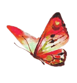 Бабочка акварель - безплатен png