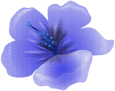 blue flower bg - GIF animé gratuit