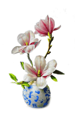 FLORES - 免费PNG