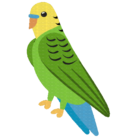 Bird Plant - GIF animate gratis