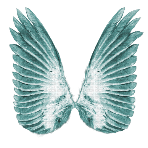 kikkapink deco scrap angel wings - PNG gratuit