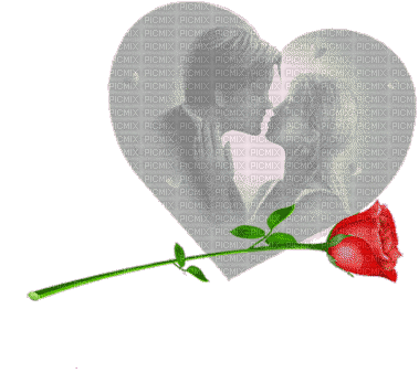 Coeur Couple Amour Fleur Rouge:) - Gratis animerad GIF