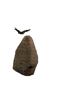 Камень - Darmowy animowany GIF