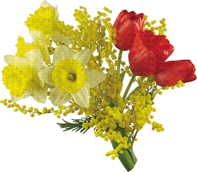 patymirabelle fleurs - nemokama png