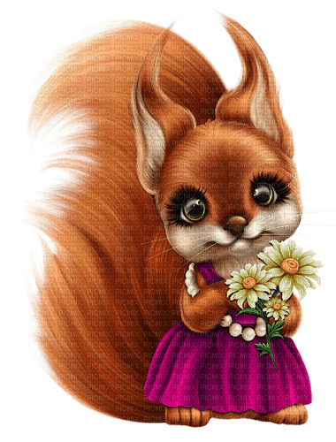 squirrel - png grátis