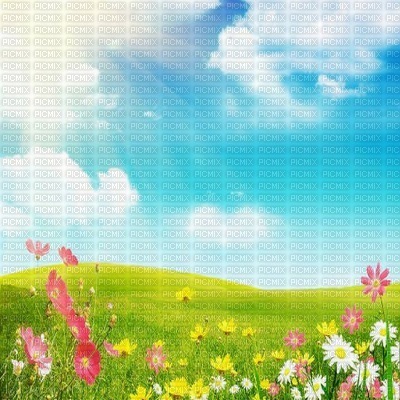 spring meadow - Free PNG