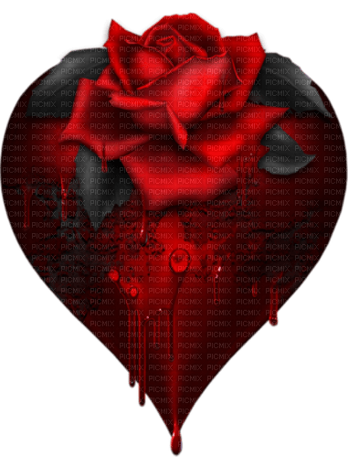 rose red rot black - PNG gratuit