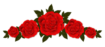 Trandafir 36 - ingyenes png