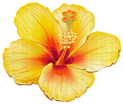 Kaz_Creations Flowers Deco Flower Colours - бесплатно png