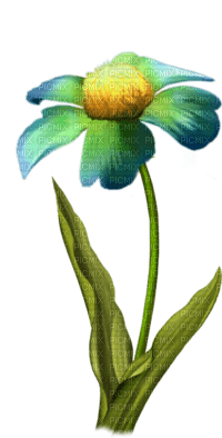 Una flor color  turquesa - gratis png