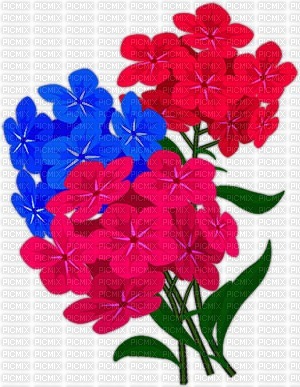 Blue, Pink, Red flowers - gratis png