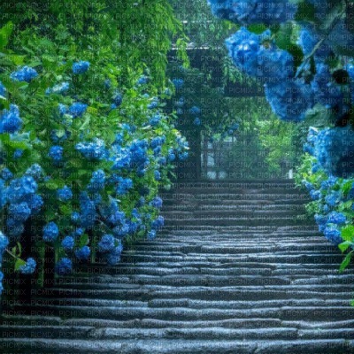 Blue Flower Stairway - zdarma png