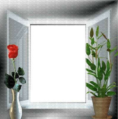 window fenster frame cadre fenêtre - zadarmo png