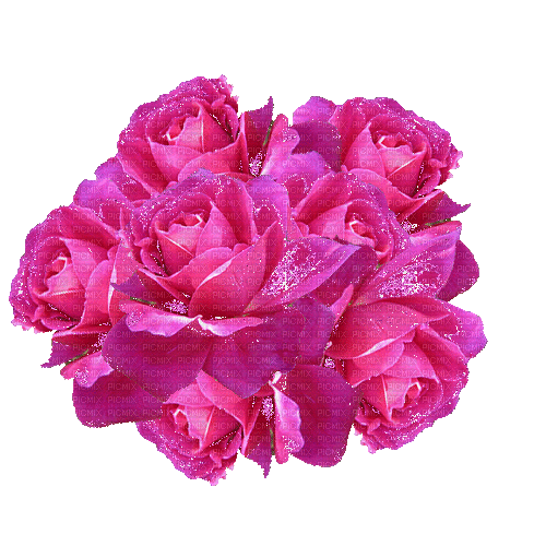 pink roses with glitter - GIF animado grátis