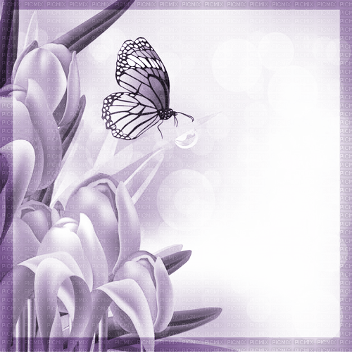 Y.A.M._Spring Summer frame purple - darmowe png