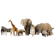Africa animals bp - фрее пнг