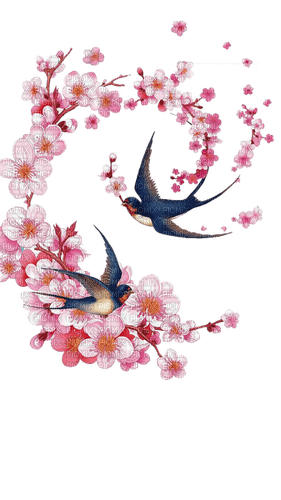 cherry blossom  Bb2 - фрее пнг