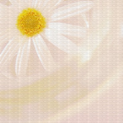 Kaz_Creations Deco  Flowers Backgrounds Background Colours - Free PNG