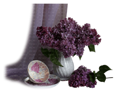 LOLY33 lilas - png grátis