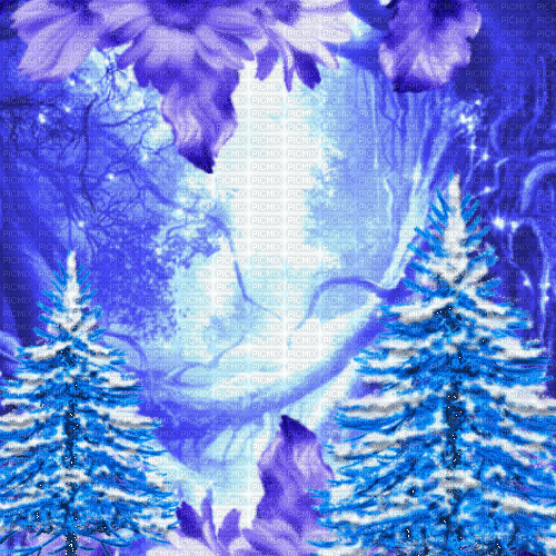 non attribé  / Bg..winter.snow.fir.blue.idca - GIF animado grátis