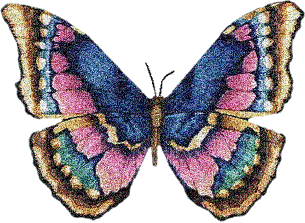 farfalla - 免费动画 GIF