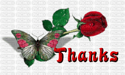 Thanks, Rose, Butterfly - Ingyenes animált GIF