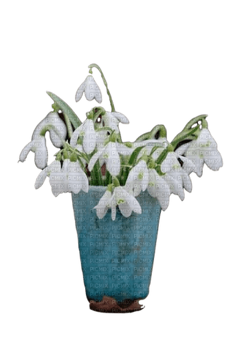 Flowers- Spring - δωρεάν png