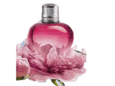 Perfume bp - ücretsiz png