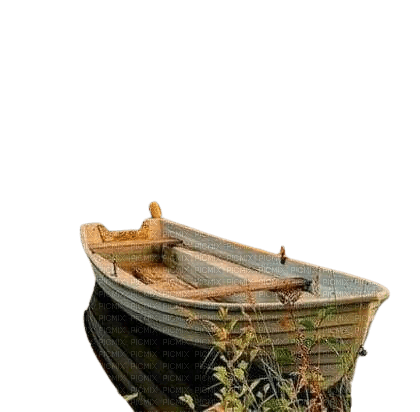barque - png gratuito