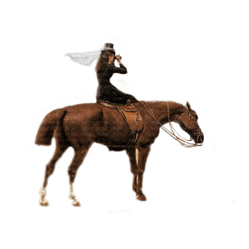 dama  caballo dubravka4 - zdarma png