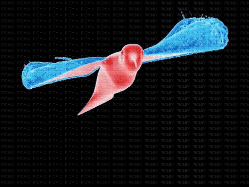 Птицы Хичкок - Kostenlose animierte GIFs
