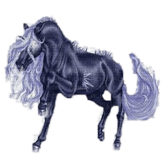 storm horse - PNG gratuit