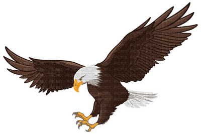 eagle - png ฟรี