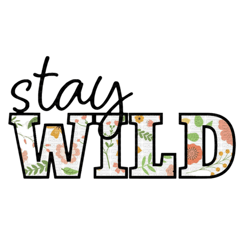 stay wild /words - gratis png