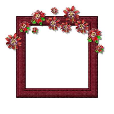 Small Burgandy Frame - δωρεάν png