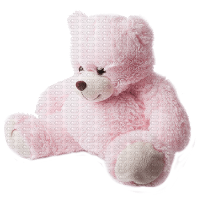 Kaz_Creations Deco Teddybear  Pink Colours - png gratis