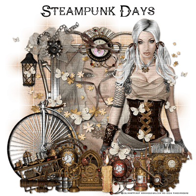 steampunk woman bp - png grátis