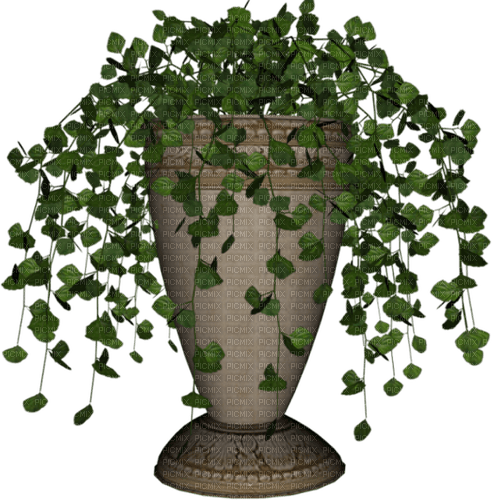 Plante - Free PNG
