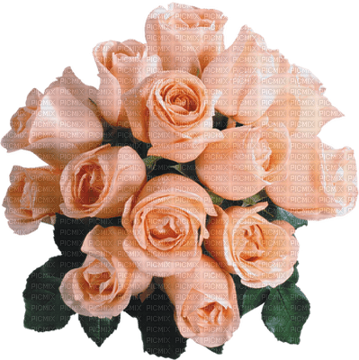 Kaz_Creations Deco Flowers Bouquet Colours - besplatni png