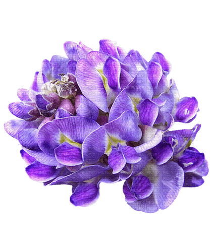 kikkapink purple flowers deco vintage - ilmainen png