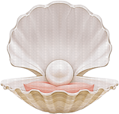 Seashell Pearl - Bogusia - gratis png