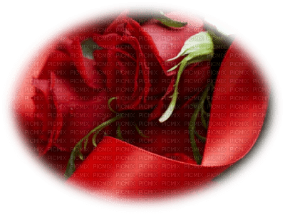 patymirabelle fleurs  rose rouge - gratis png
